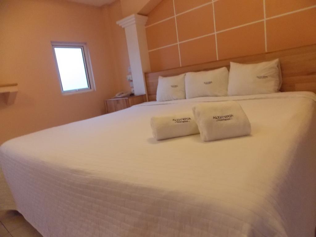 Express Alejandría
